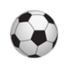 皇家廷布学院女足logo